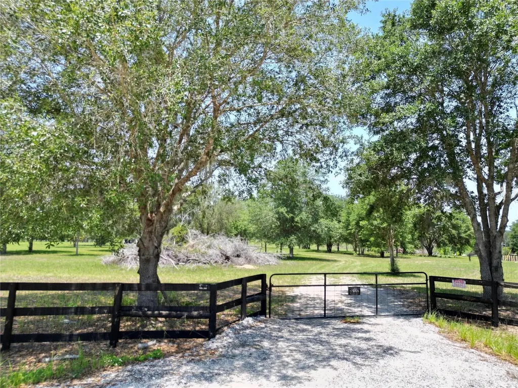 Tbd SE 55th Place Ocklawaha FL 32179