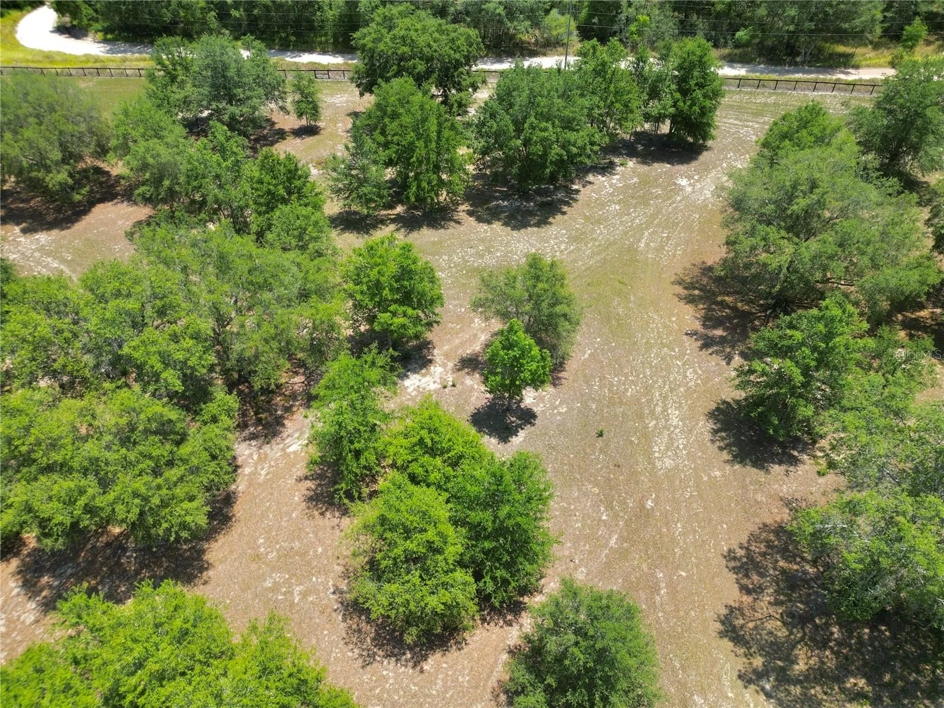 Tbd SE 55th Place Ocklawaha FL 32179