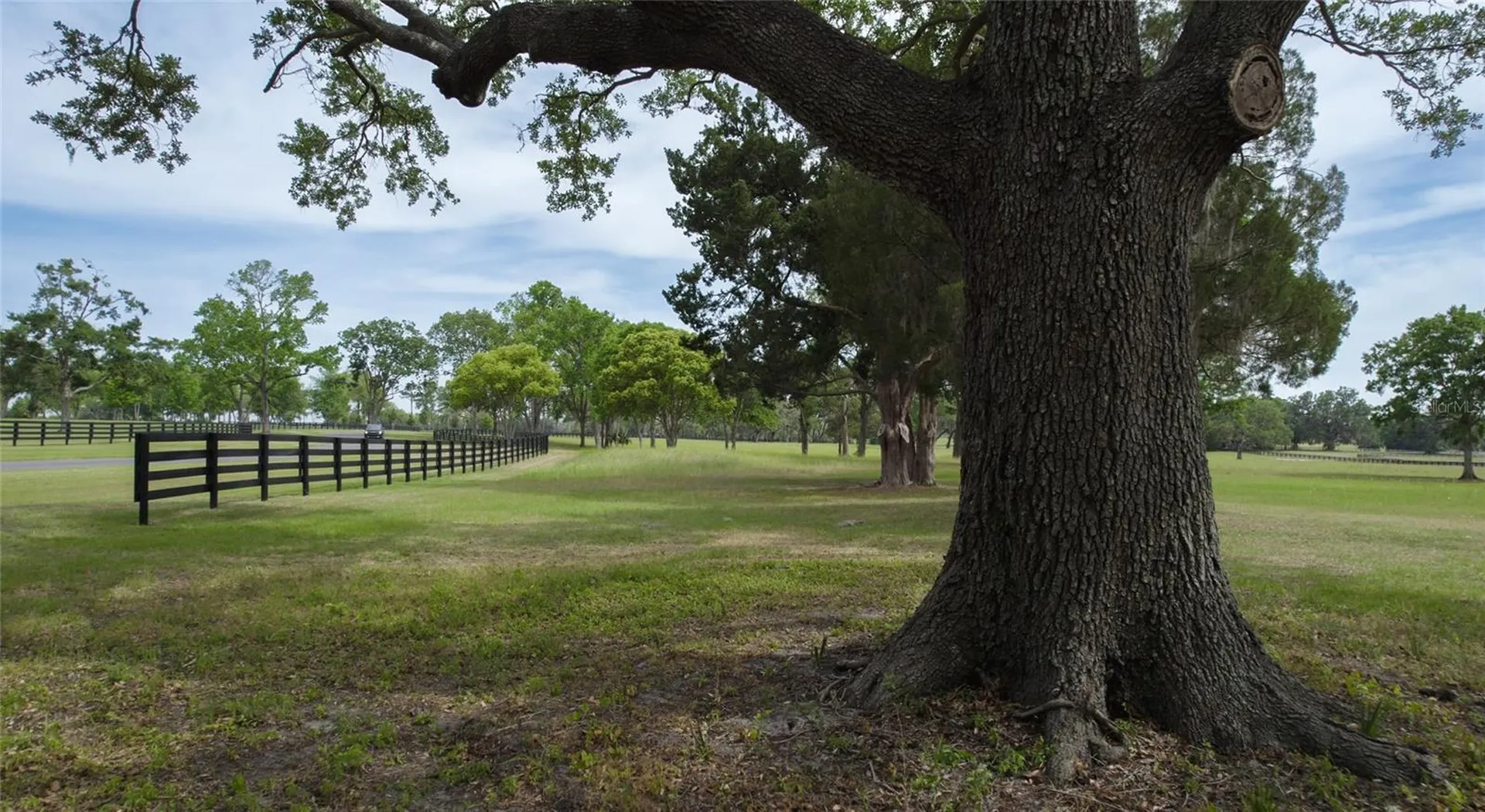 13381 W Highway 40 (lot 1) Ocala FL 34481