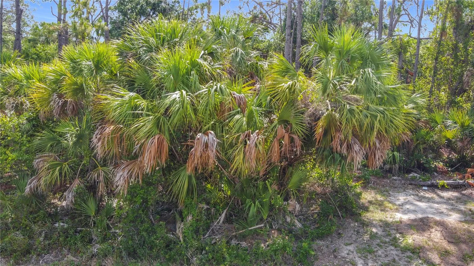 356 Lindon Street Port Charlotte FL 33954