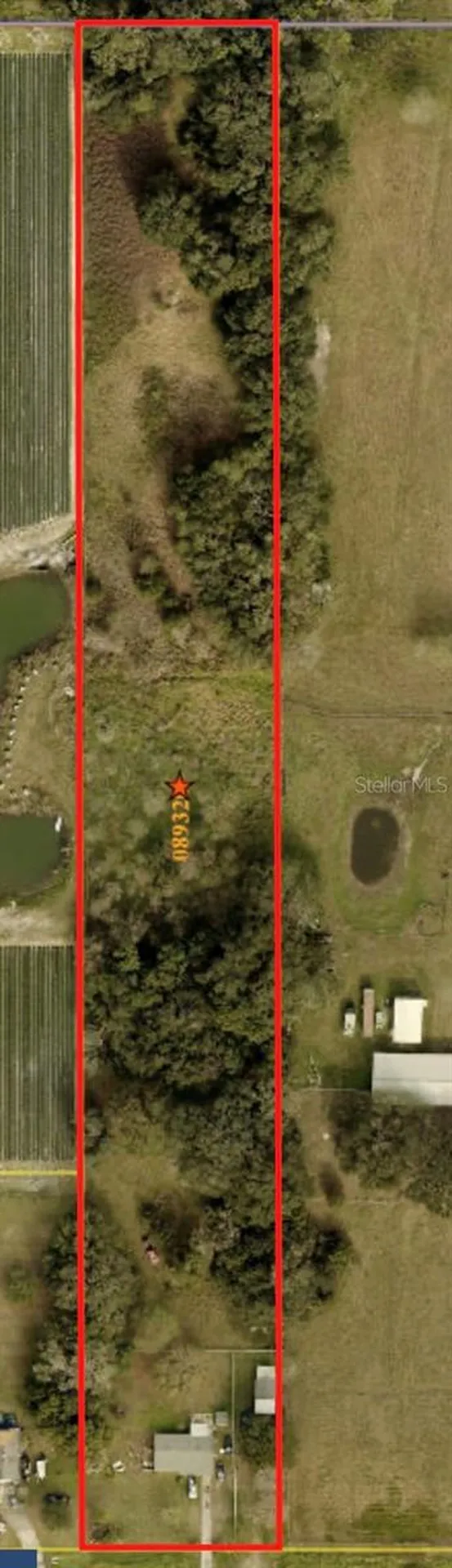 4316 E Knights Griffin Road Plant City FL 33565