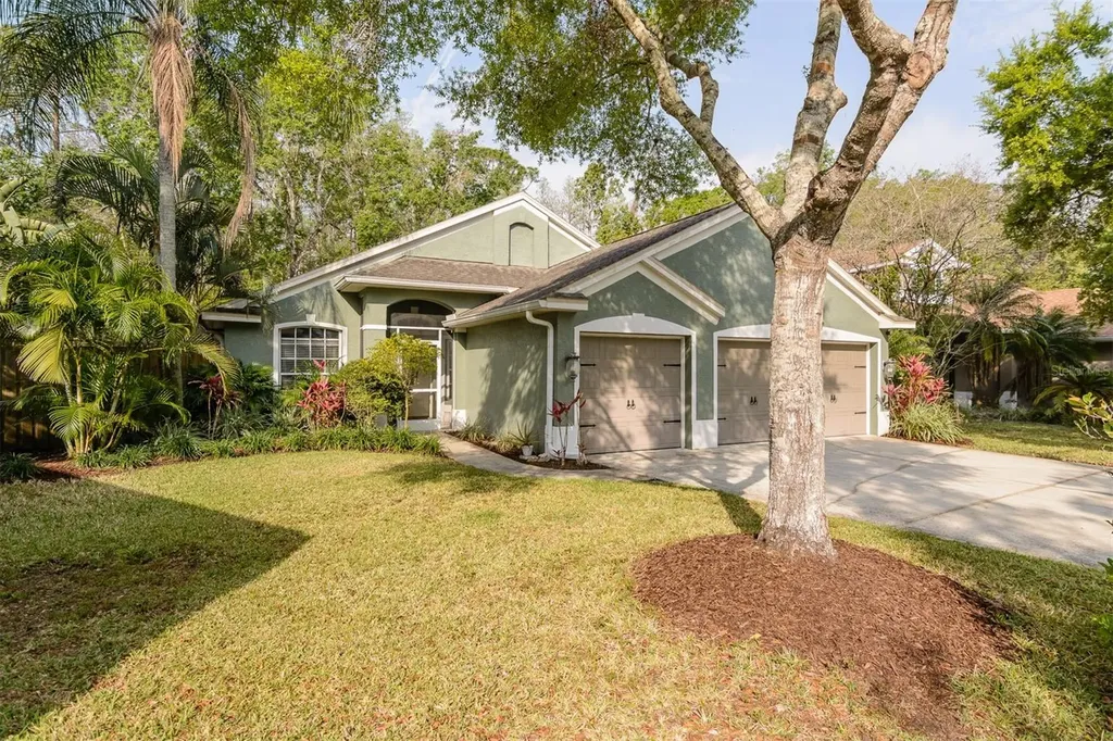 5619 Essex Court Palm Harbor FL 34685