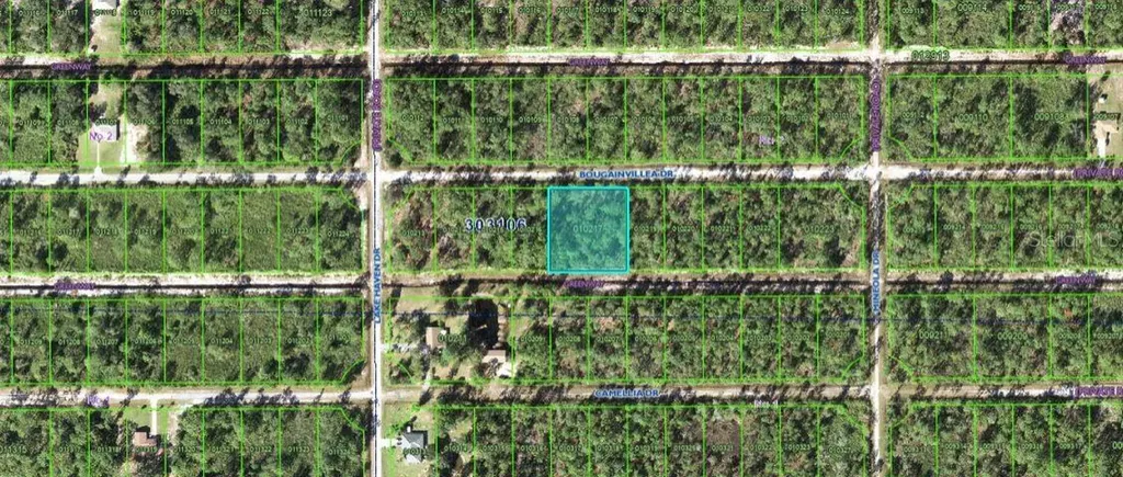 515 Bougainville Drive Indian Lake Estates FL 33855
