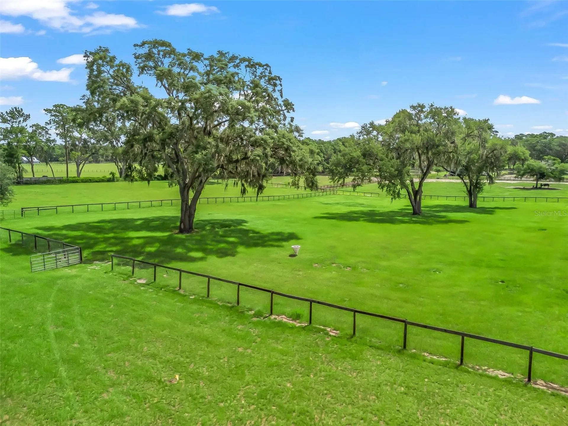 402 SW 127th Place Ocala FL 34473