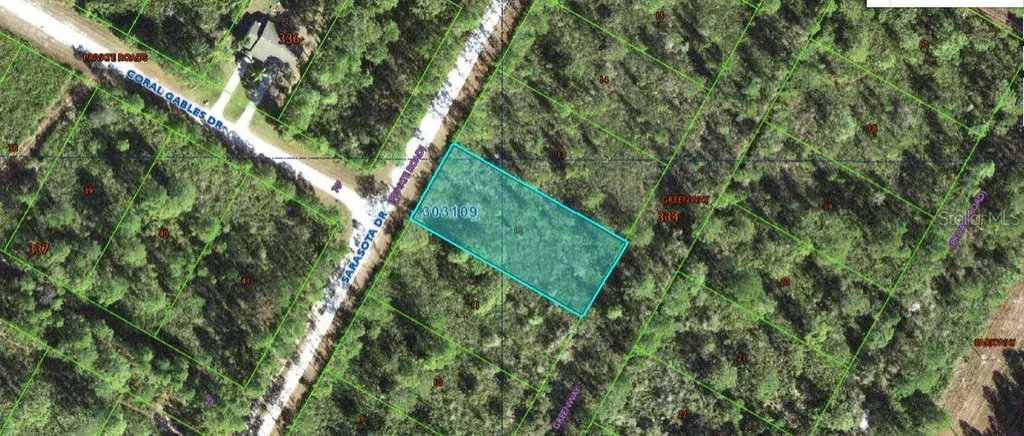 Sarasota Drive Indian Lake Estates FL 33855