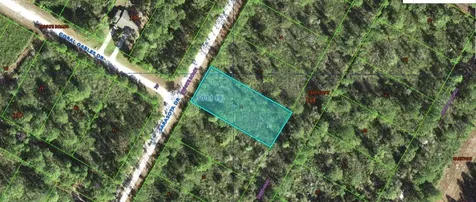 Sarasota Drive Indian Lake Estates FL 33855
