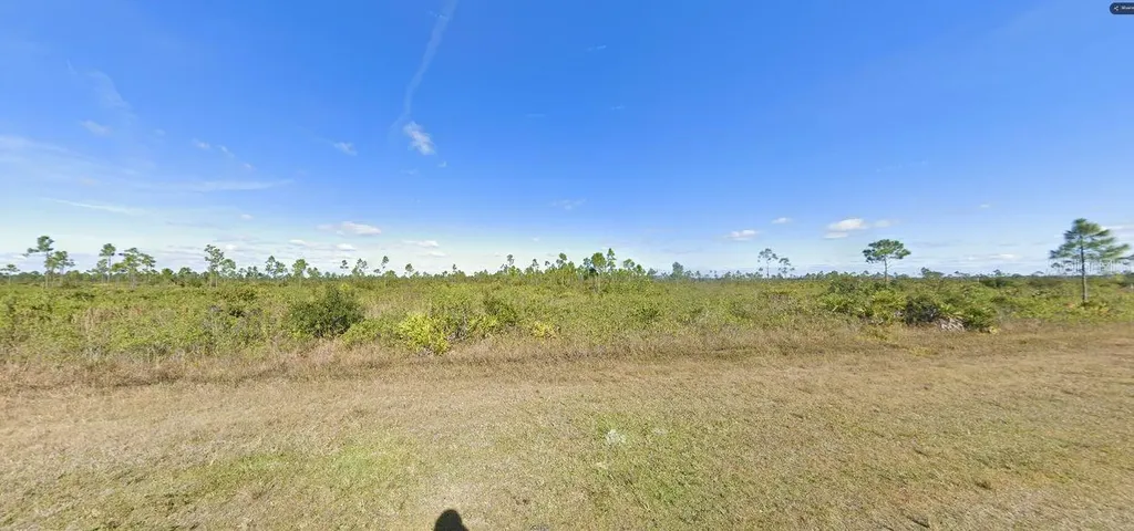 316 Calendula Drive Indian Lake Estates FL 33855
