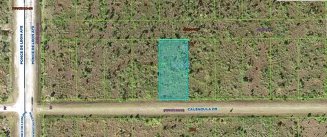 316 Calendula Drive Indian Lake Estates FL 33855