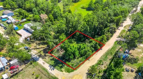 40850 Pine Tree Lane Eustis FL 32736