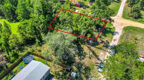 40850 Pine Tree Lane Eustis FL 32736