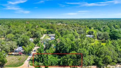 40850 Pine Tree Lane Eustis FL 32736