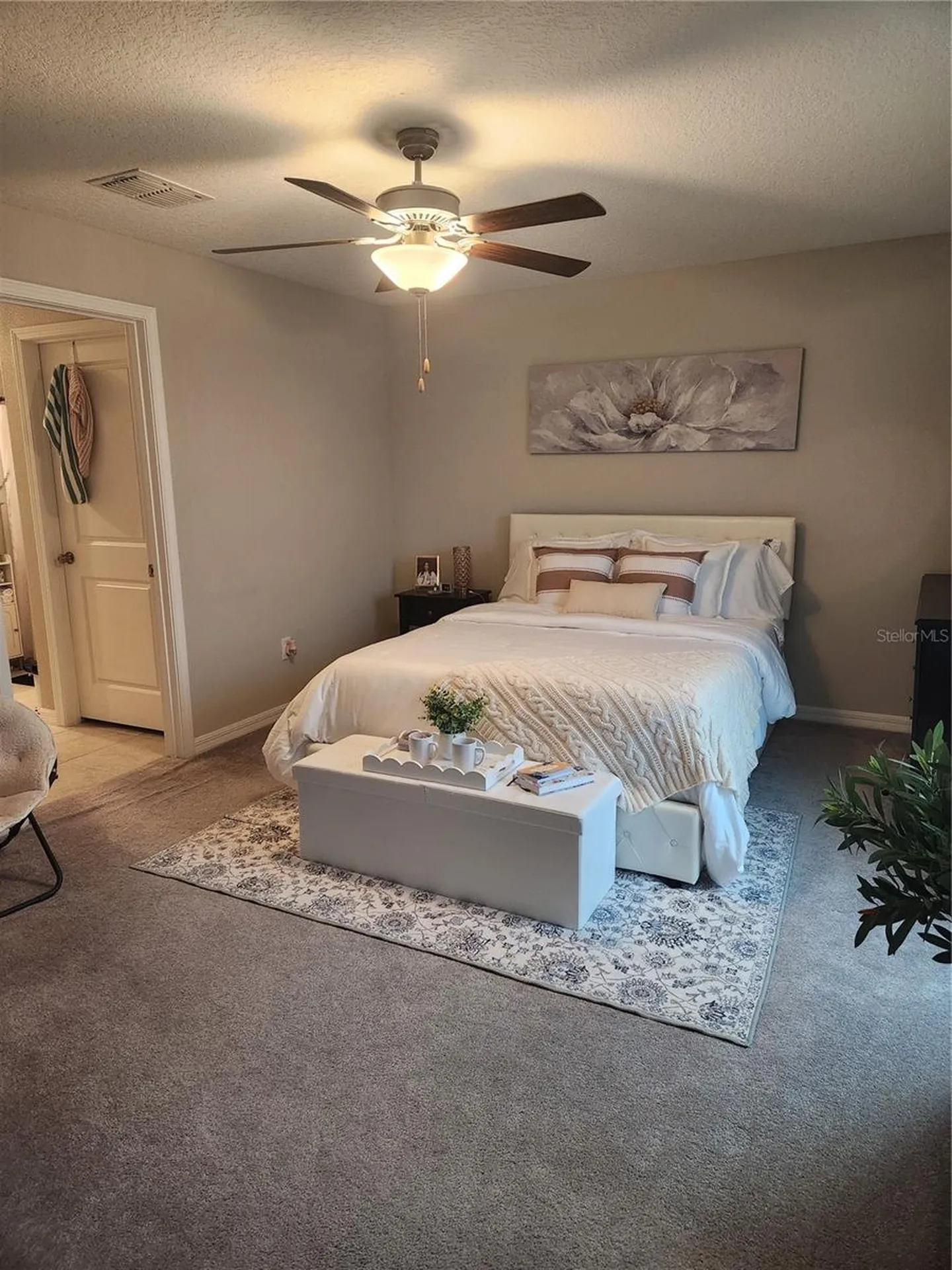 16725 Delia Street Wimauma FL 33598