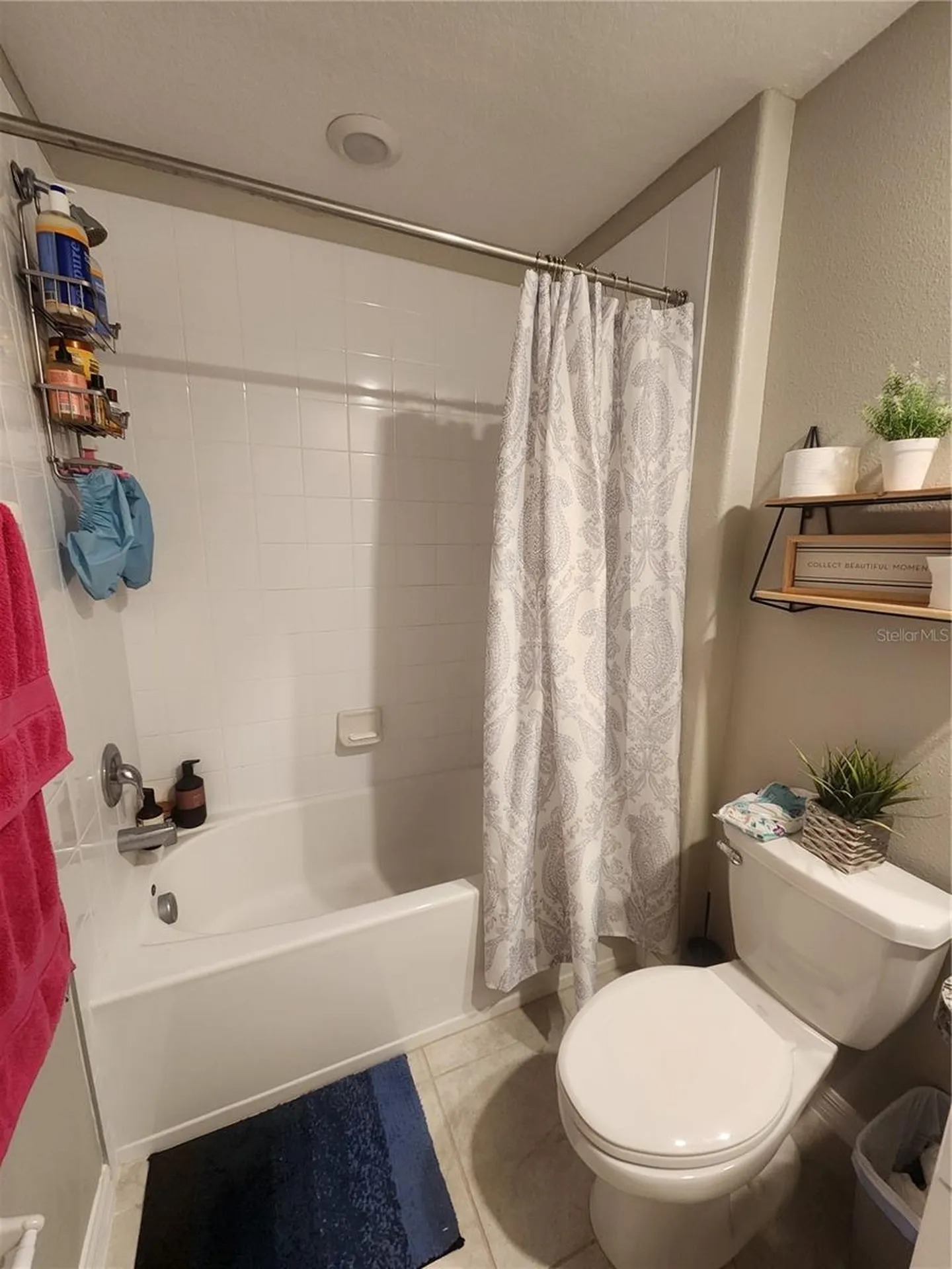 16725 Delia Street Wimauma FL 33598