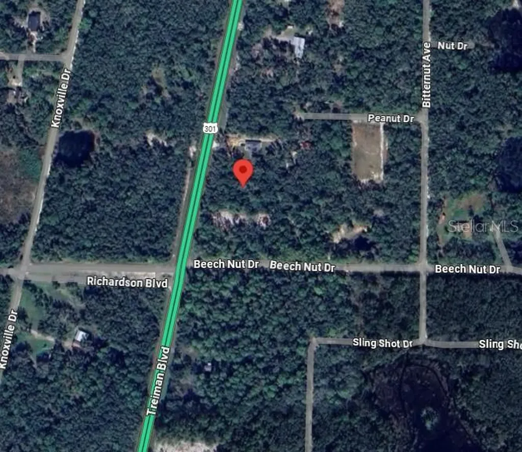 7446 Treiman Boulevard Webster FL 33597