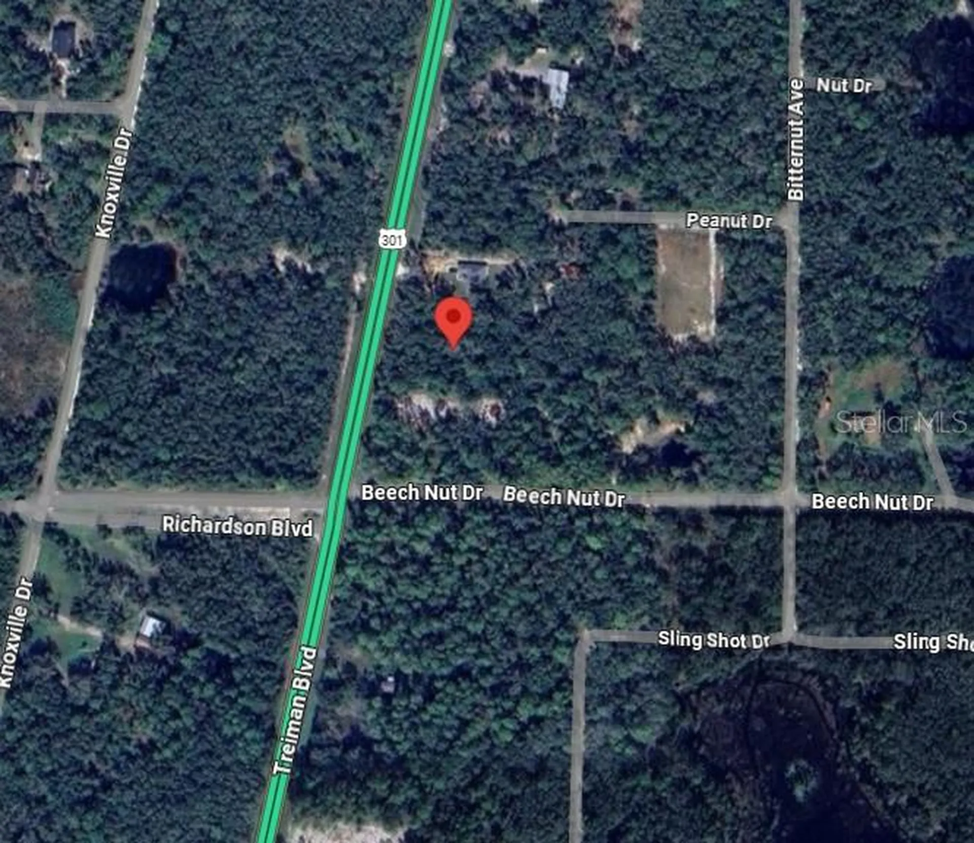 7446 Treiman Boulevard Webster FL 33597