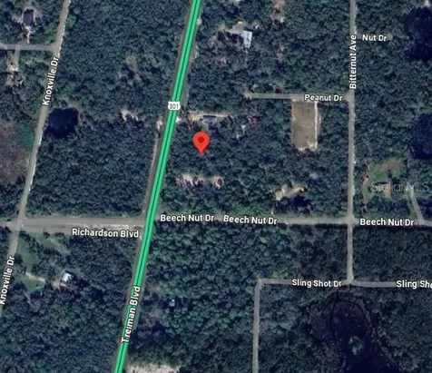 7446 Treiman Boulevard Webster FL 33597