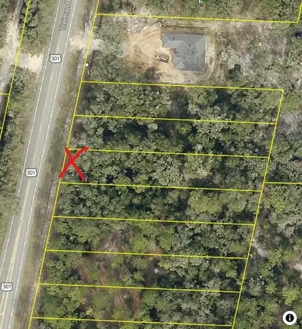 7446 Treiman Boulevard Webster FL 33597
