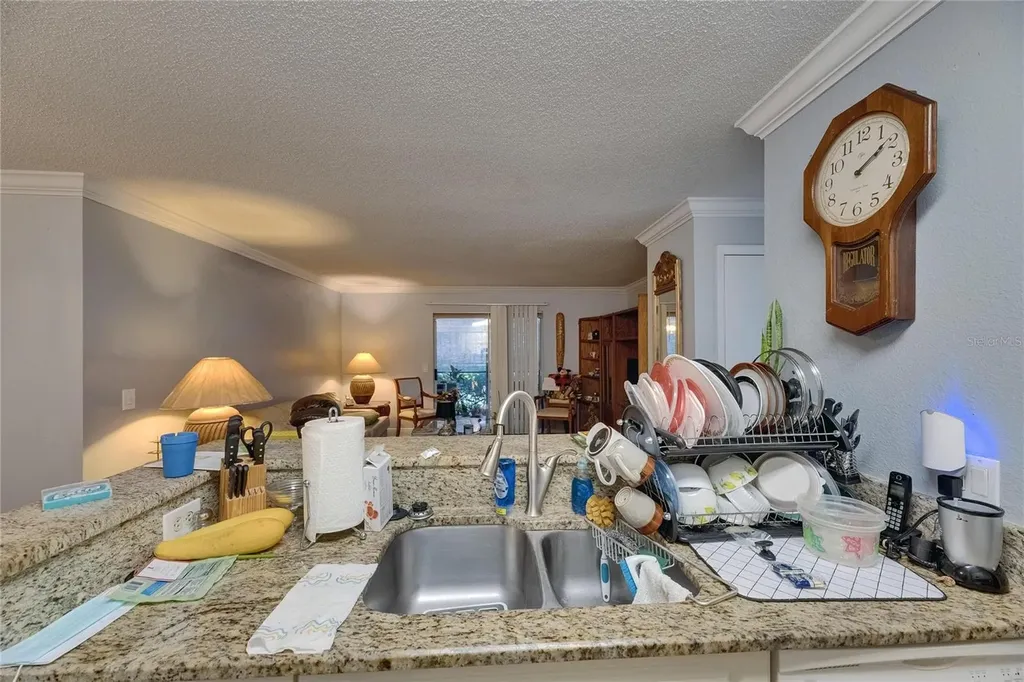 9481 Highland Oak Drive Tampa FL 33647