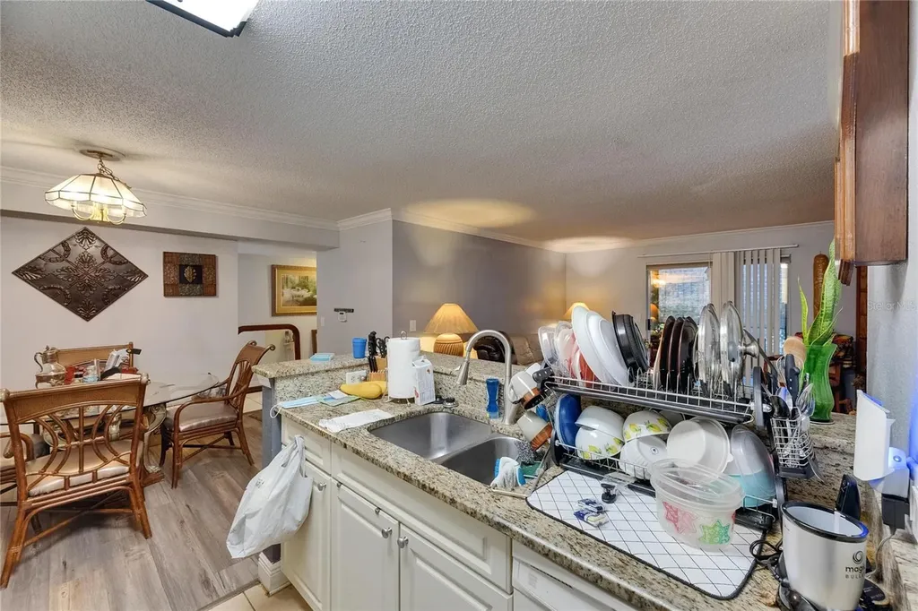 9481 Highland Oak Drive Tampa FL 33647