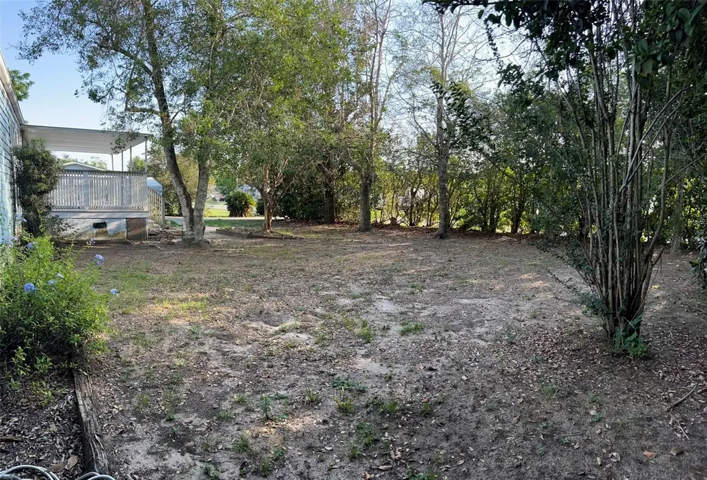 14085 SE 59th Court Summerfield FL 34491
