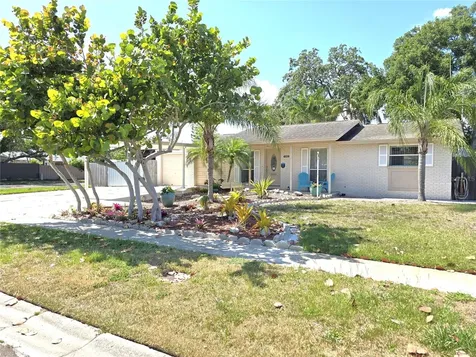 7943 Woodvine Circle Tampa FL 33615