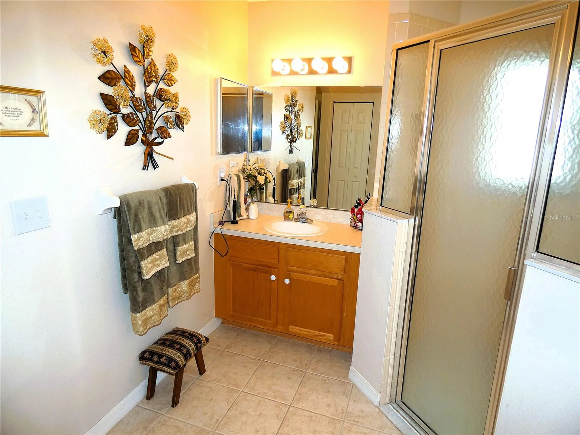 751 Old Oaks Lane Leesburg FL 34748