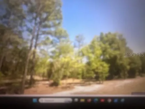 0 SW 207 Court Dunnellon FL 34431