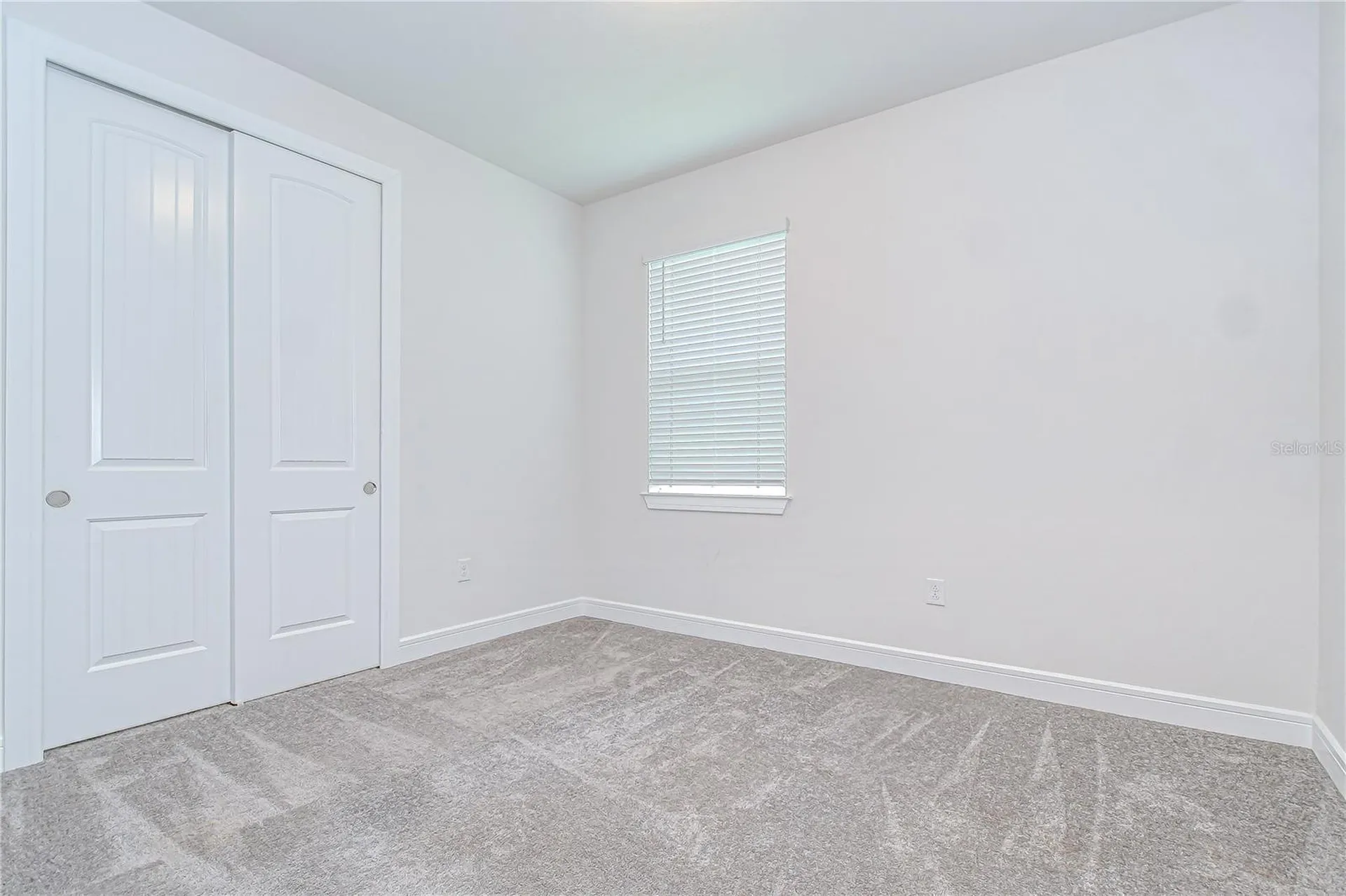 6119 Bradford Woods Drive Zephyrhills FL 33542