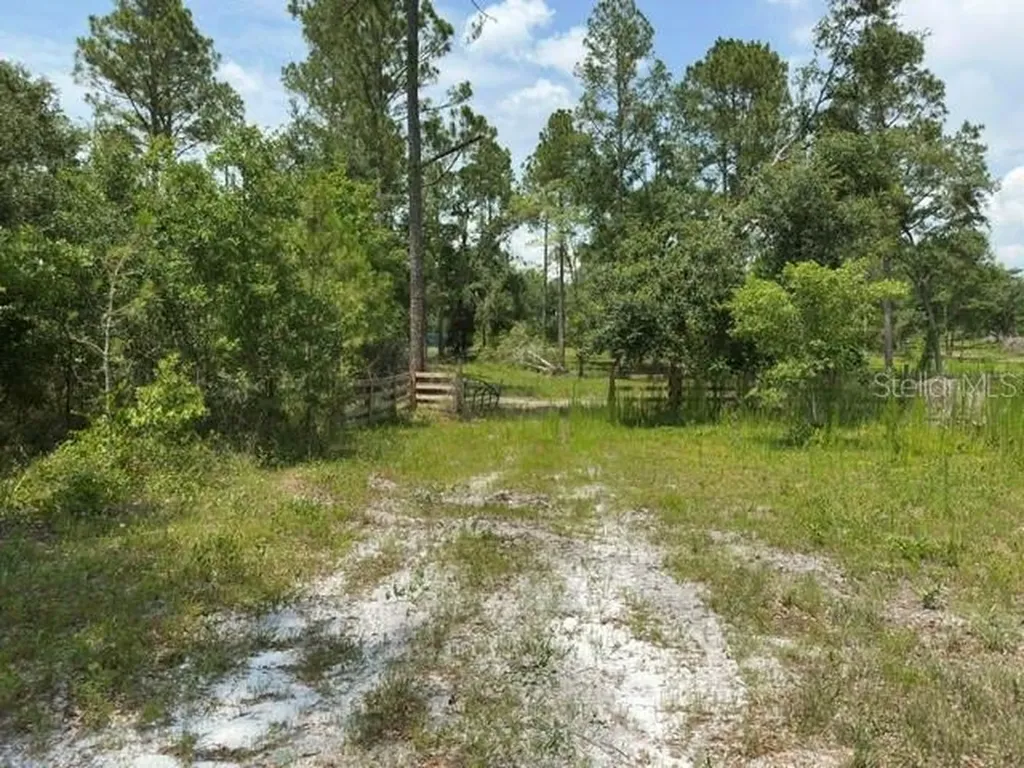 Cr 49 Live Oak FL 32060