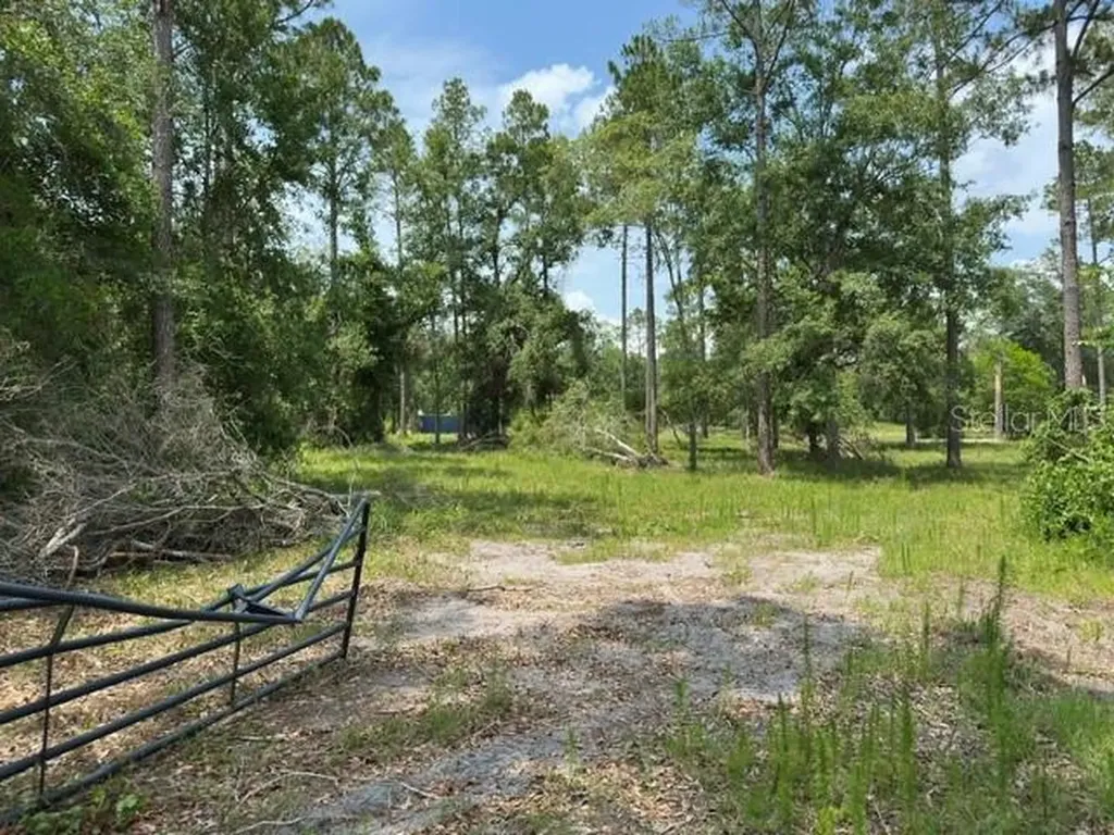 Cr 49 Live Oak FL 32060