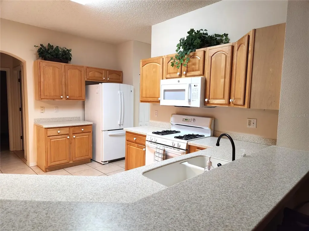 1214 Fairway Greens Drive Sun City Center FL 33573