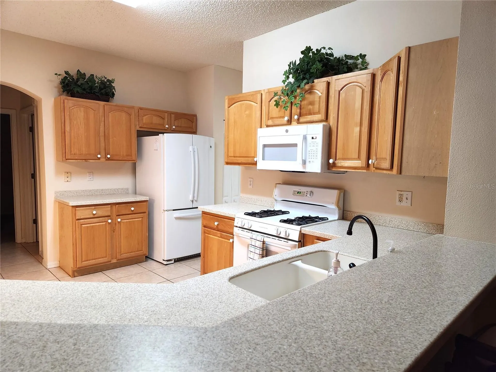 1214 Fairway Greens Drive Sun City Center FL 33573