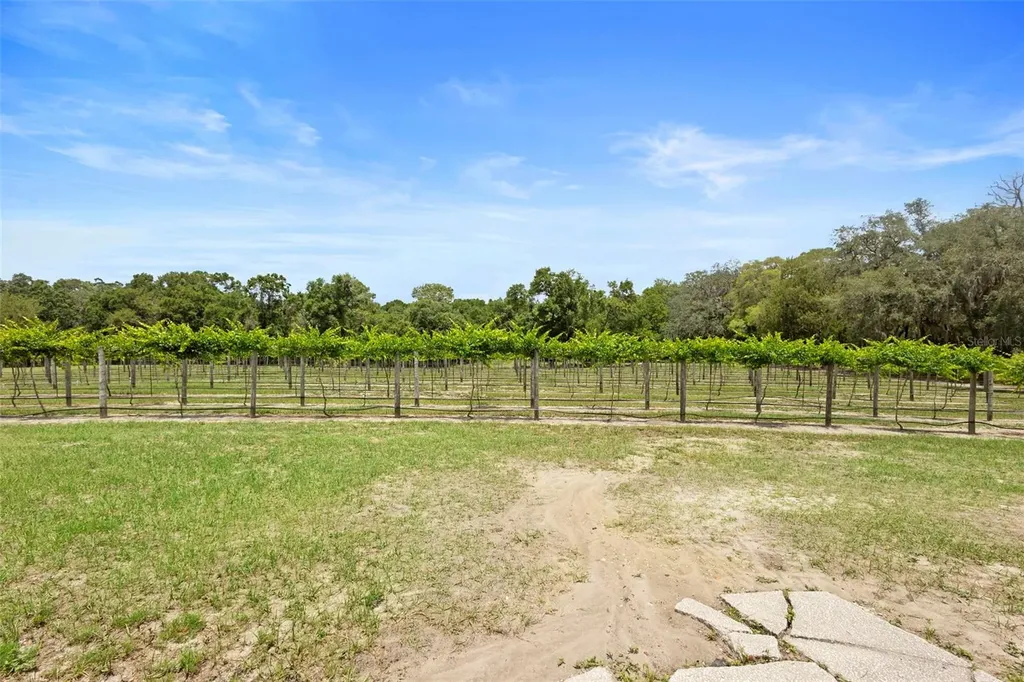 1056 Reynolds Road De Leon Springs FL 32130
