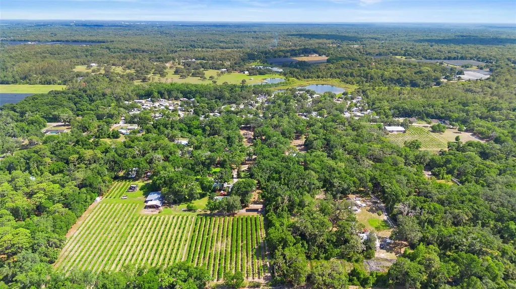 1056 Reynolds Road De Leon Springs FL 32130