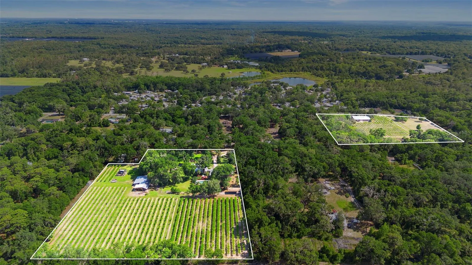 1056 Reynolds Road De Leon Springs FL 32130