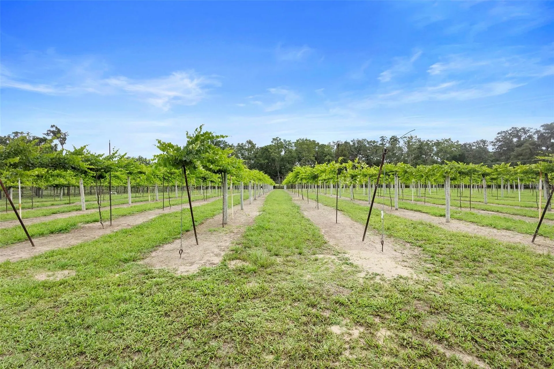 1056 Reynolds Road De Leon Springs FL 32130