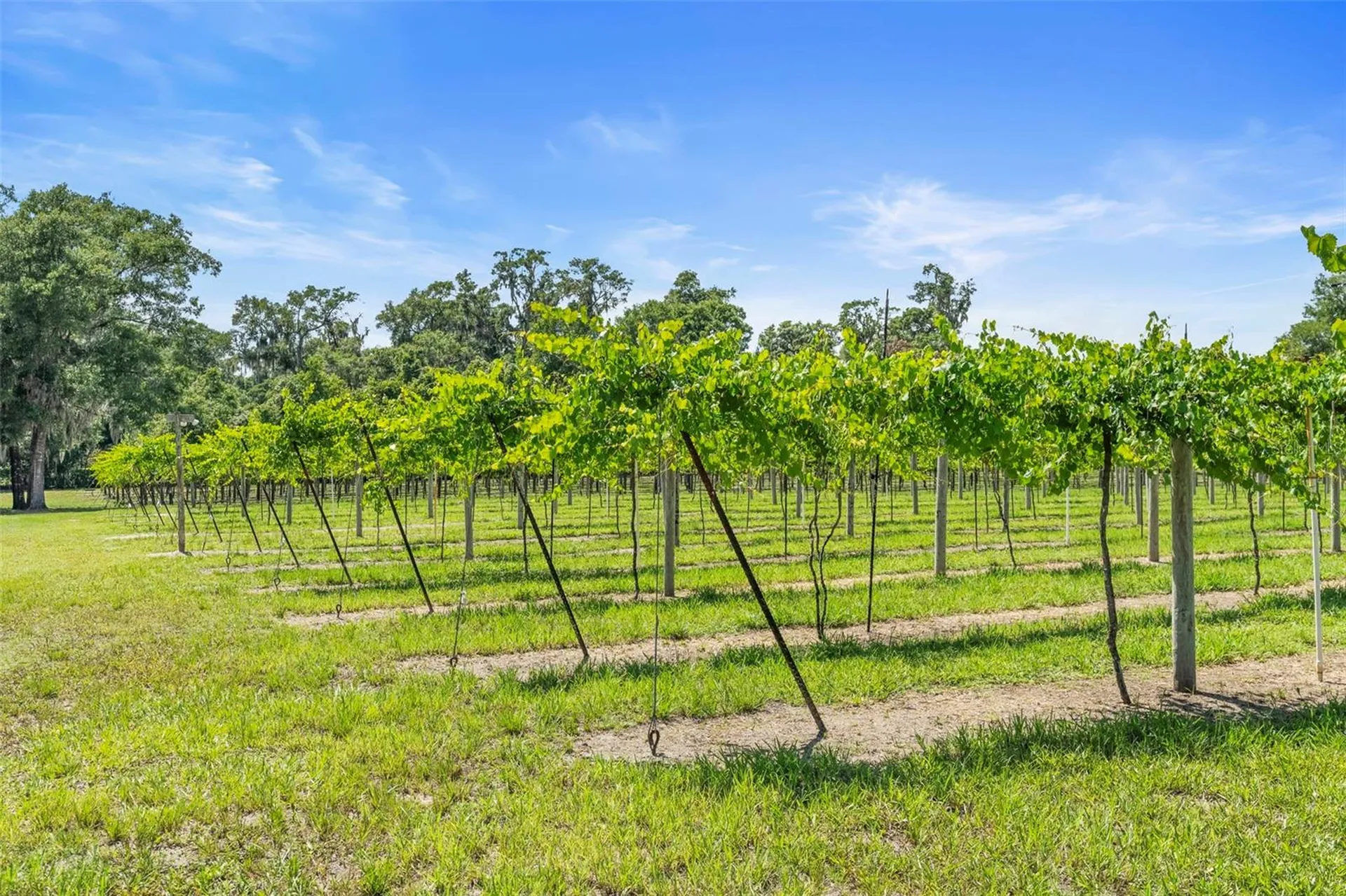 1056 Reynolds Road De Leon Springs FL 32130