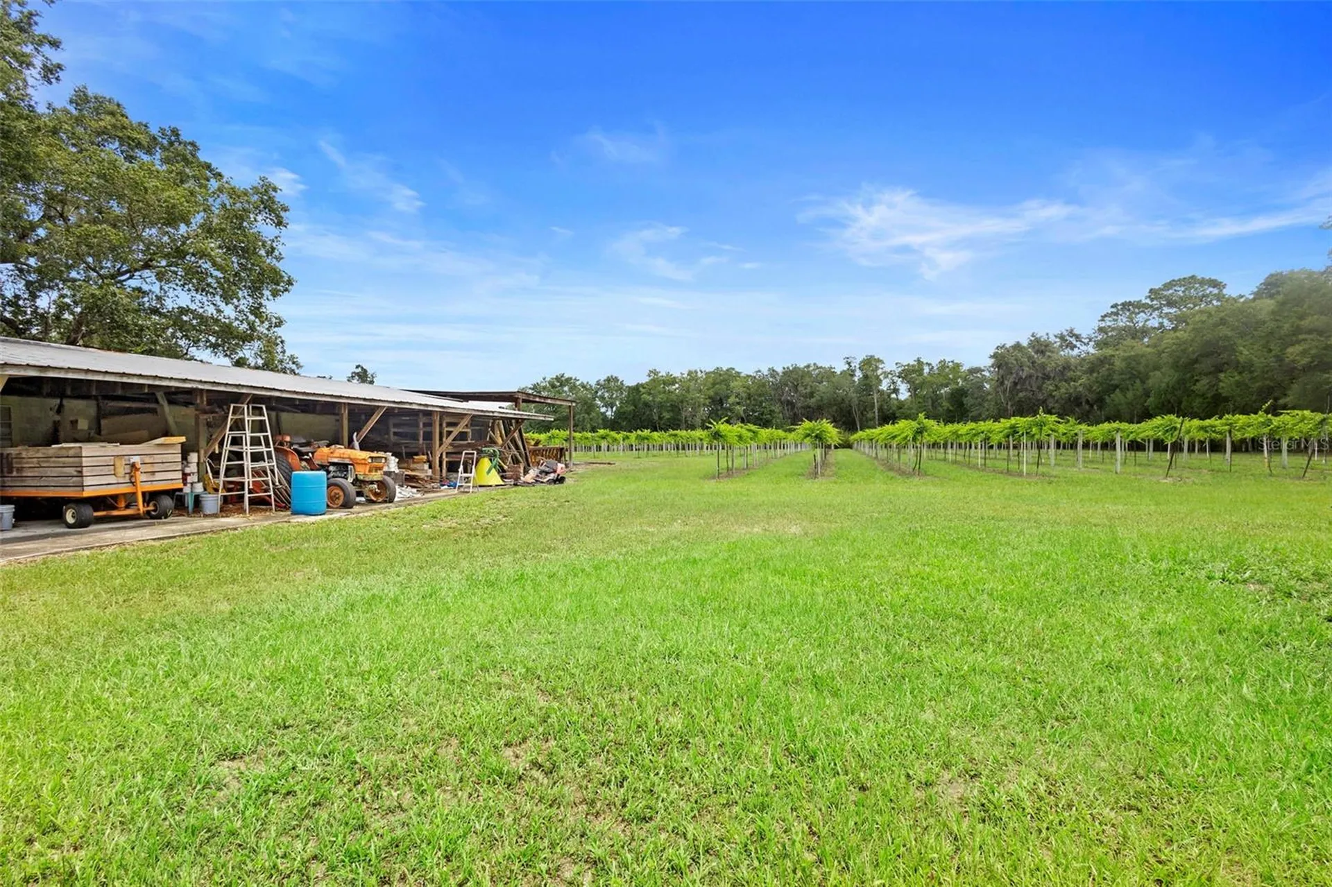 1056 Reynolds Road De Leon Springs FL 32130