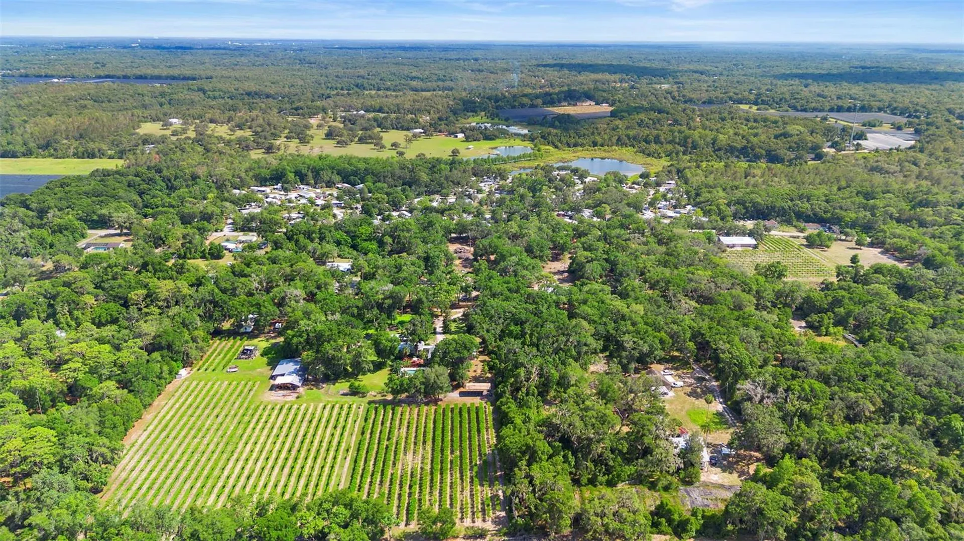 1056 Reynolds Road De Leon Springs FL 32130