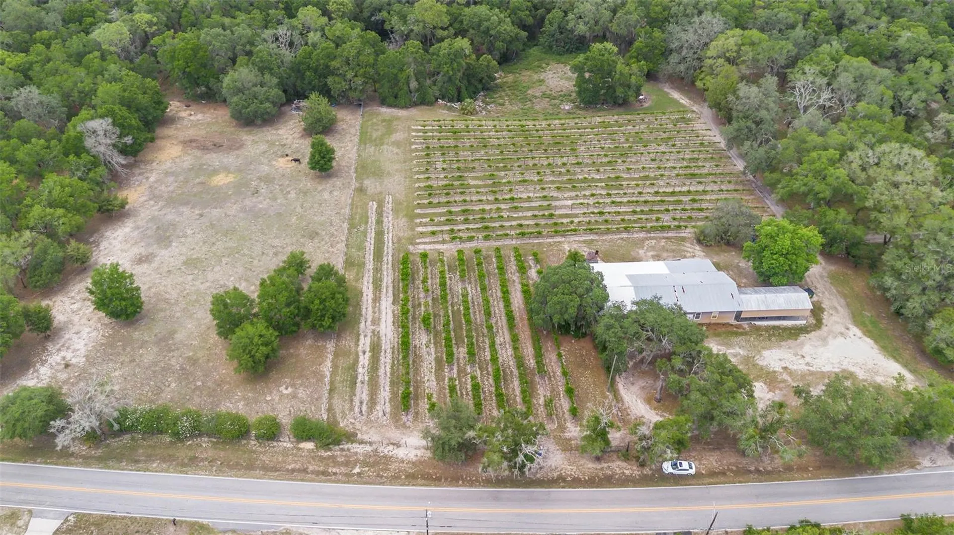 1056 Reynolds Road De Leon Springs FL 32130