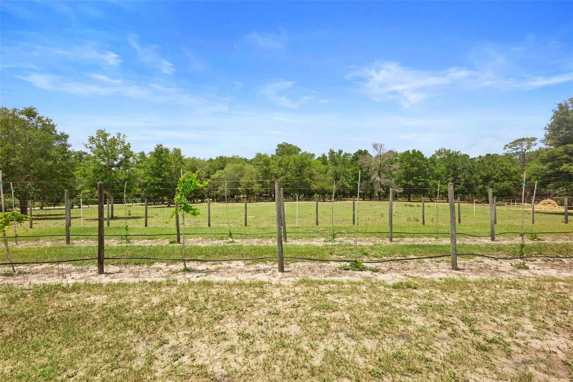 1056 Reynolds Road De Leon Springs FL 32130