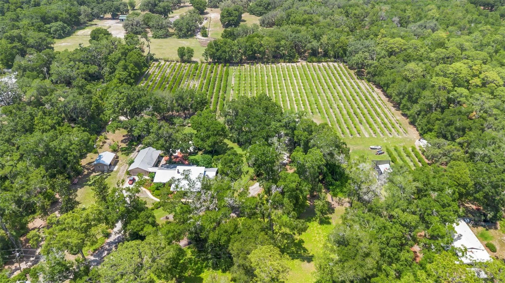 1056 Reynolds Road De Leon Springs FL 32130