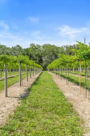 1056 Reynolds Road De Leon Springs FL 32130