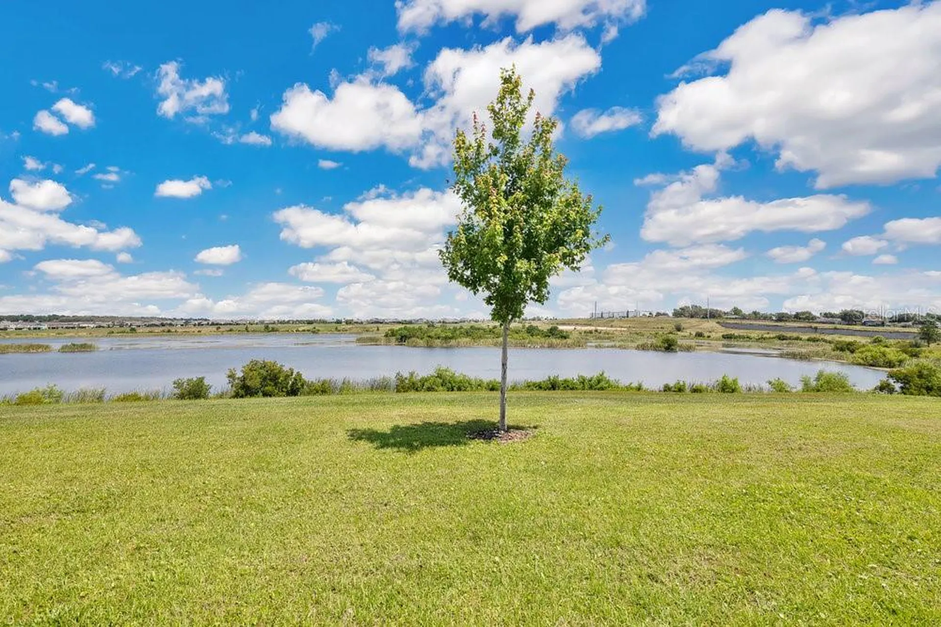 3280 Canna Lily Place Clermont FL 34711