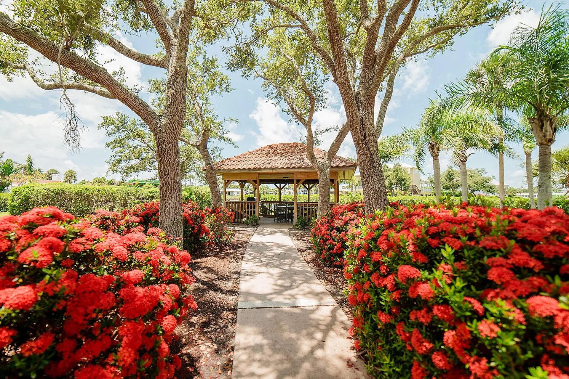 7303 Jessie Harbor Drive Osprey FL 34229