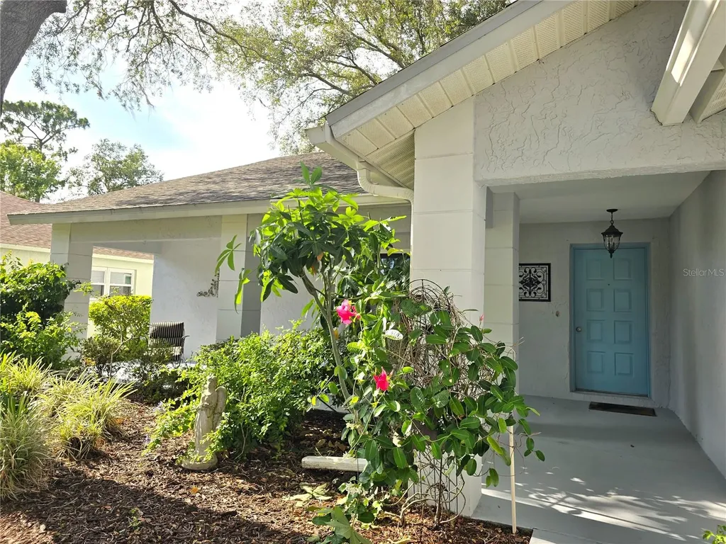 3509 Oak Lake Drive Palm Harbor FL 34684