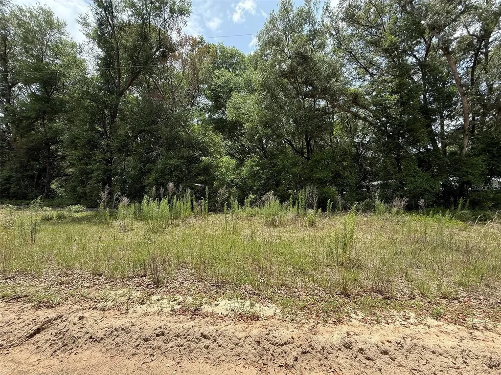 119 Smokey Avenue Interlachen FL 32148