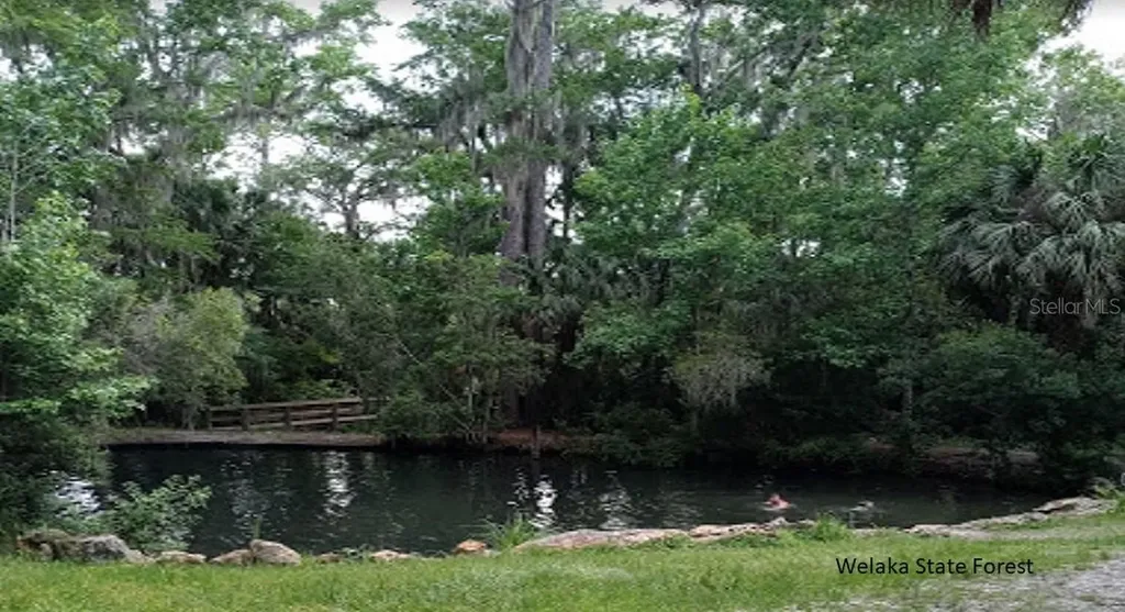 119 Smokey Avenue Interlachen FL 32148