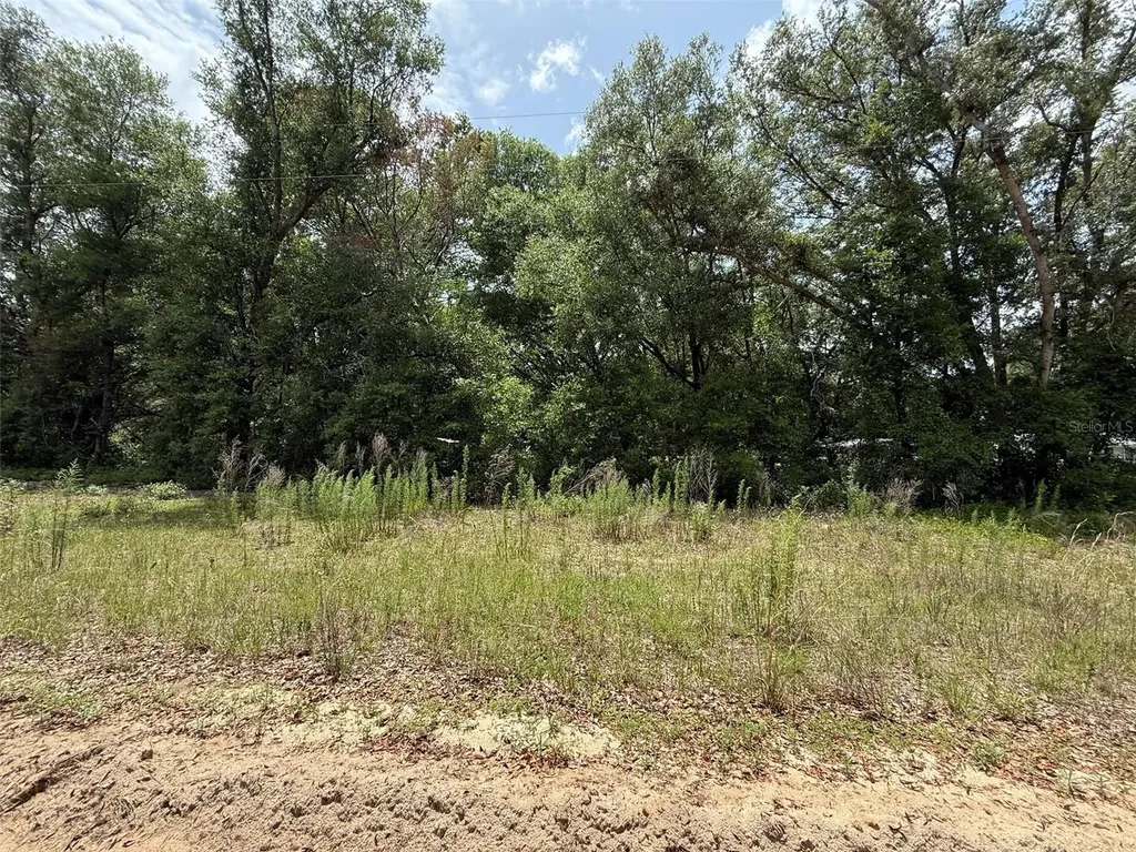 119 Smokey Avenue Interlachen FL 32148