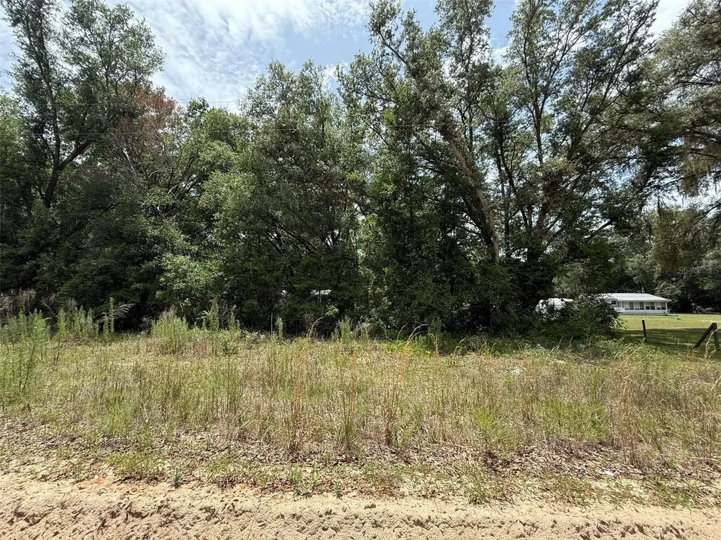119 Smokey Avenue Interlachen FL 32148